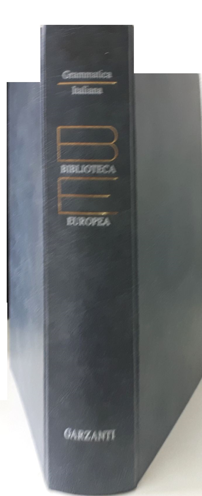 Grammatica Italiana: Italiano comune e lingua letteraria